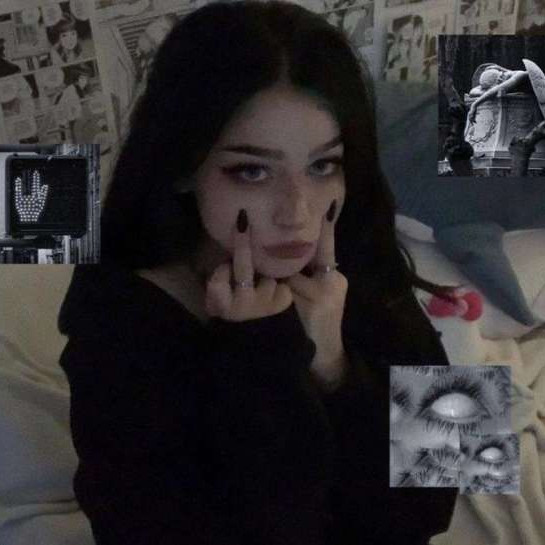 Сливы Студетнок домашка